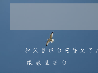 和父母坦白网贷欠了20多万(网贷欠款十万跟家里坦白)
