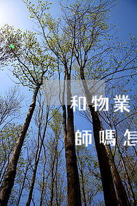 和物業(yè)打官司要請(qǐng)律師嗎(怎么和物業(yè)打官司)