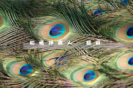 和精神病人離婚麻煩嗎
