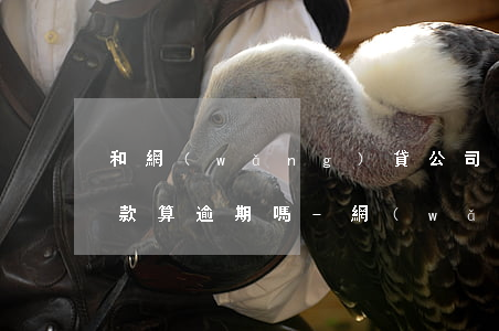 和網(wǎng)貸公司協(xié)商還款算逾期嗎-網(wǎng)貸逾期能協(xié)商還款嗎