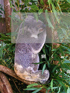 和網(wǎng)貸平臺(tái)協(xié)商還款,多久會(huì)來(lái)回訪電話(huà)-和網(wǎng)貸平臺(tái)協(xié)商還款,多久會(huì)來(lái)回訪電話(huà)
