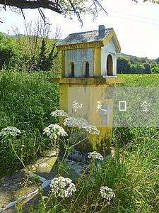 和美團合作信用卡逾期