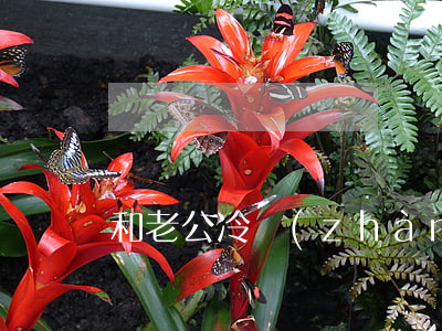 和老公冷戰(zhàn)怎么處理