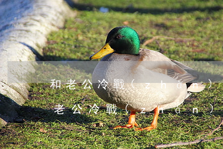 和老公冷戰(zhàn)該怎么離婚(怎樣和老公冷戰(zhàn)到底)
