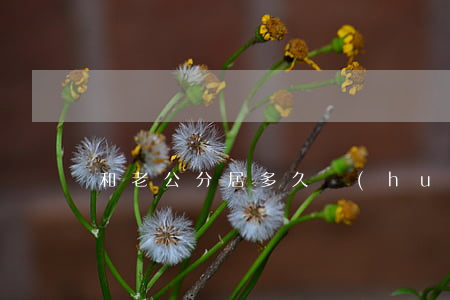 和老公分居多久會(huì)離婚