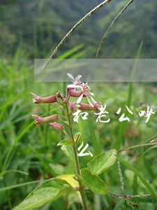 和老公吵架已經(jīng)快要離婚了怎么辦