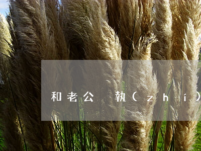 和老公爭執(zhí)不起訴離婚怎么辦