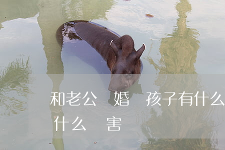 和老公離婚對孩子有什么壞處(離婚對孩子有什么傷害)