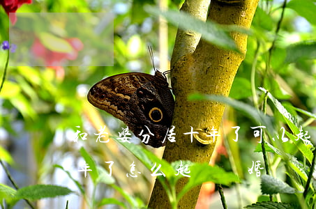 和老婆分居十年了可以起訴離婚嗎(分居很多年了怎么起訴離婚)