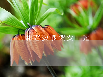 和老婆吵架要離婚