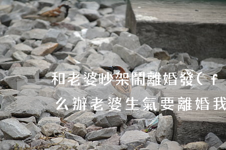 和老婆吵架鬧離婚發(fā)信息不回了怎么辦(老婆生氣要離婚,我給她發(fā)消息就是不回)