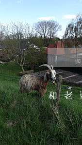 和老婆闹离婚不想让她上班怎么办