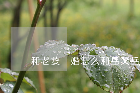 和老婆離婚怎么和岳父岳母說告別
