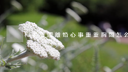 和老婆鬧離婚心事重重胸悶怎么辦