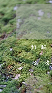 和解了律師費(fèi)怎么給(律師和解怎么收費(fèi))