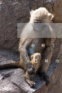 和解了訴訟保全可以解除嗎(訴前保全起訴后會解除保全嗎)