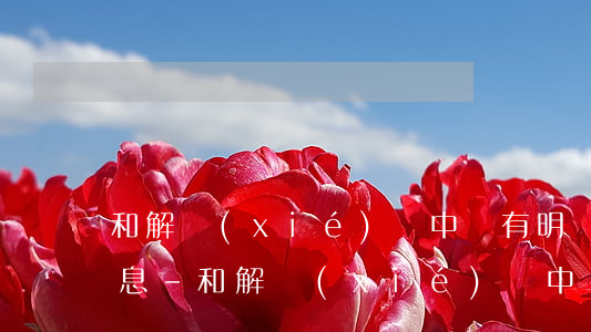 和解協(xié)議中沒有明確逾期支付利息-和解協(xié)議中沒有明確逾期支付利息怎么辦