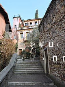和解協(xié)議書怎么寫(和解協(xié)議書)