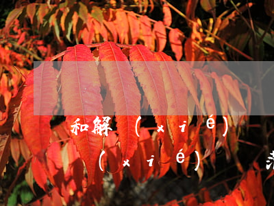 和解協(xié)議書范本(一次性賠償和解協(xié)議書范本)