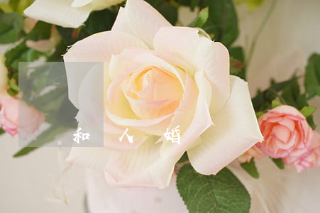 和軍人離婚