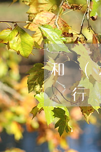 和轉(zhuǎn)賬記錄可以提起訴訟嗎(銀行轉(zhuǎn)賬記錄可以起訴嗎)