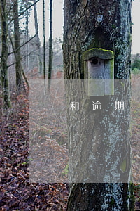 和逾期貸款，逾期的貸款