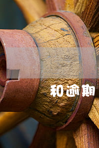 和逾期還款的四大謠言(還款逾期后果)