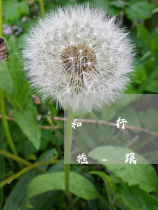 和銀行協(xié)商信用卡分期多就能實施-跟銀行協(xié)商信用卡最長分期多少年