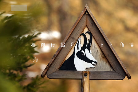 和銀行協(xié)商停息掛賬注意事項上海