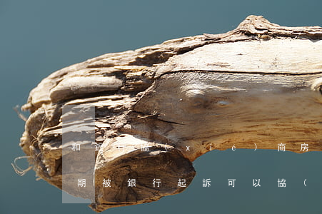 和銀行協(xié)商房貸逾期撤訴(房貸逾期被銀行起訴,可以協(xié)商銀行撤訴嗎)