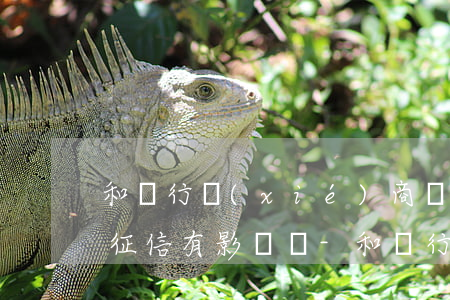 和銀行協(xié)商還款后對(duì)征信有影響嗎-和銀行協(xié)商還款后對(duì)征信有影響嗎知乎