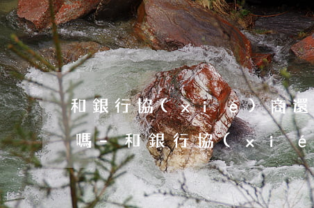 和銀行協(xié)商還款后還能申請延期嗎-和銀行協(xié)商還款后還能申請延期嗎知乎