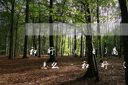 和銀行協(xié)商還款應(yīng)該怎么說-和銀行協(xié)商還款應(yīng)該怎么說話