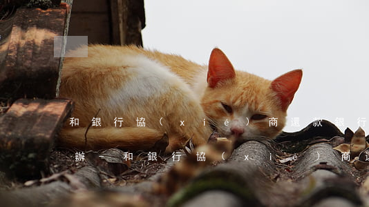 和銀行協(xié)商還款銀行不同意怎么辦-和銀行協(xié)商還款銀行不同意怎么辦?