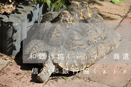 和銀行協(xié)商還款銀行要我提供征信-和銀行協(xié)商還款銀行要我提供征信報(bào)告
