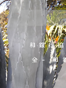 和銀行協(xié)商還款銀行還要收違約金-和銀行協(xié)商還款銀行還要收違約金嗎