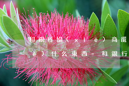 和銀行協(xié)商還款需要手寫(xiě)什么東西-和銀行協(xié)商還款需要什么證明