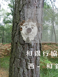 和銀行協(xié)商還款需要手寫什么東西-和銀行協(xié)商還款需要什么證明