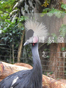 咖啡易融是正規(guī)合法的嗎 不還款會怎樣（咖啡易融逾期要起訴我）