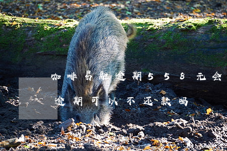咖啡易融逾期558元会被起诉吗(咖啡易融逾期可以不还款吗)