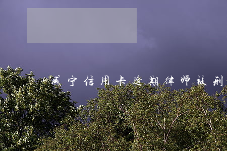 咸宁信用卡逾期律师(被刑拘信用卡逾期)