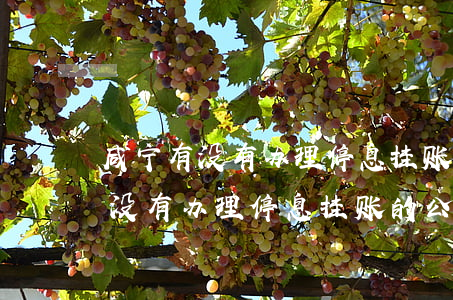 咸宁有没有办理停息挂账的公司啊-咸宁有没有办理停息挂账的公司啊电话