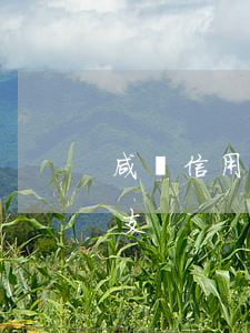咸寧信用卡惡意透支案例(刑法信用卡惡意透支)