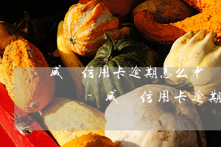 咸寧信用卡逾期怎么申請(qǐng)停息掛賬-咸寧信用卡逾期怎么申請(qǐng)停息掛賬的