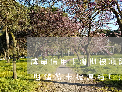 咸寧信用卡逾期被凍結(jié)(信用卡逾期儲蓄卡被凍結(jié)了怎么辦)