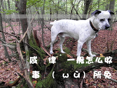 咸寧律師一般怎么收費(fèi)(咸寧律師事務(wù)所免費(fèi)咨詢電話)