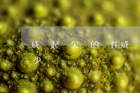 咸寧起訴欠錢的條件(咸寧法院電話號碼是多少)