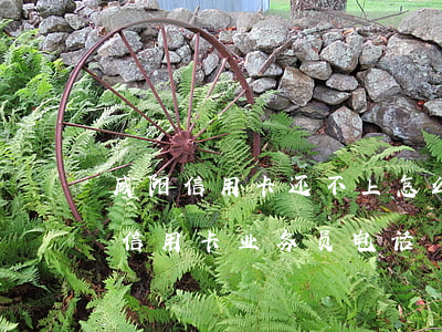 咸阳信用卡还不上怎么办会判刑吗-咸阳办信用卡业务员电话