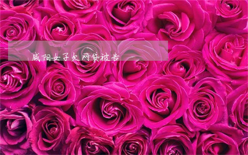 咸阳女子欠网贷被告