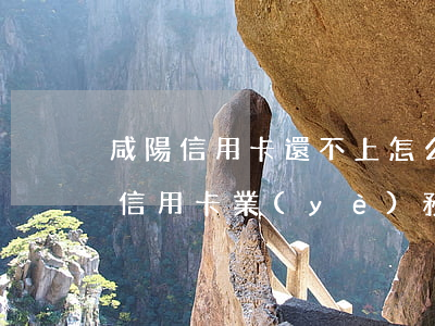 咸陽信用卡還不上怎么辦會判刑嗎-咸陽辦信用卡業(yè)務(wù)員電話